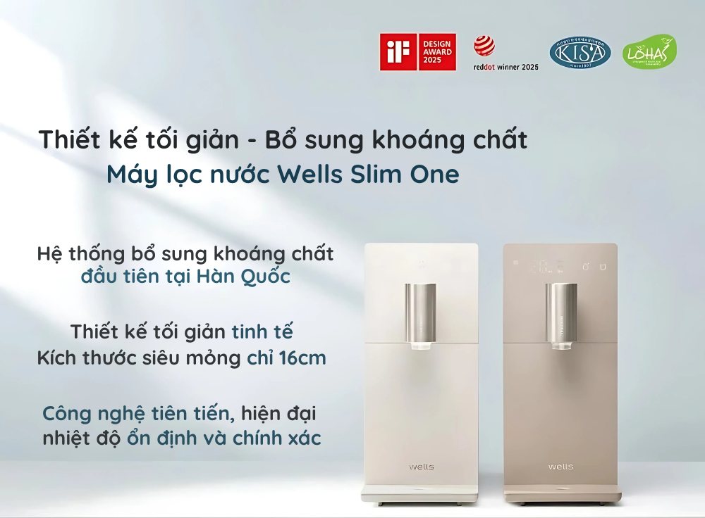 Wells Slim One 1 fn 1